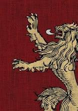 50ct House Lannister Sleeves